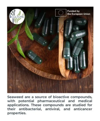 Instagram post from icultureproject. This post is in position 89.