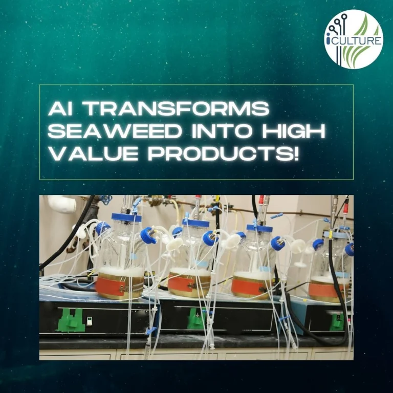 Instagram post from icultureproject. This post is in position 0.