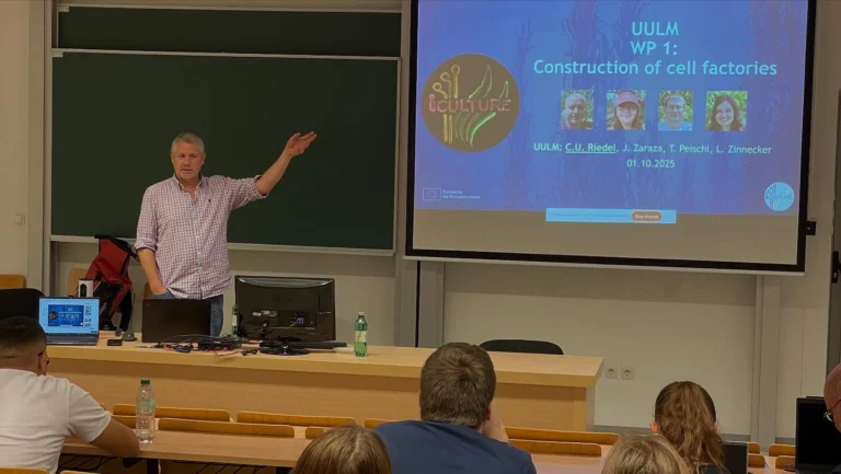 Instagram post from icultureproject. This post is in position 1.