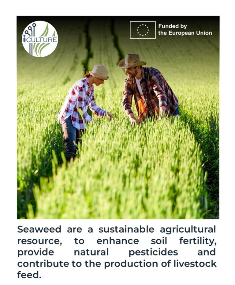 Instagram post from icultureproject. This post is in position 86.