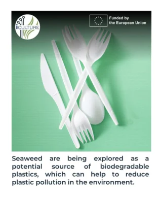 Instagram post from icultureproject. This post is in position 86.