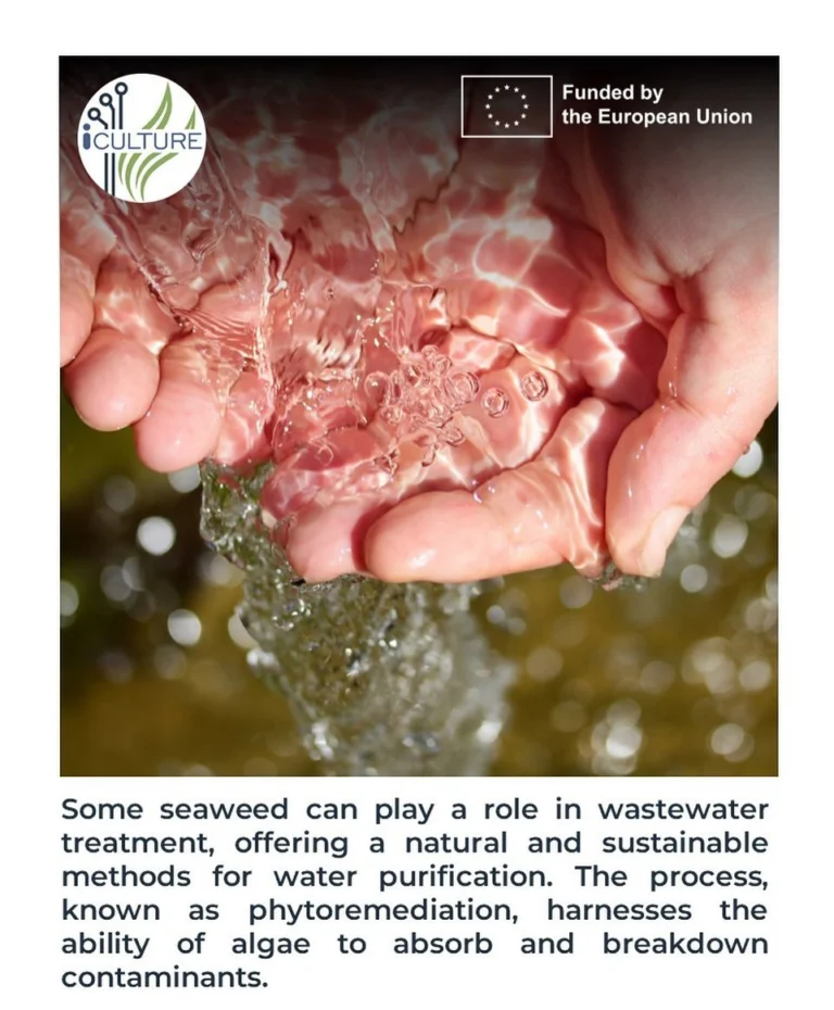 Instagram post from icultureproject. This post is in position 87.