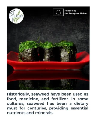 Instagram post from icultureproject. This post is in position 94.