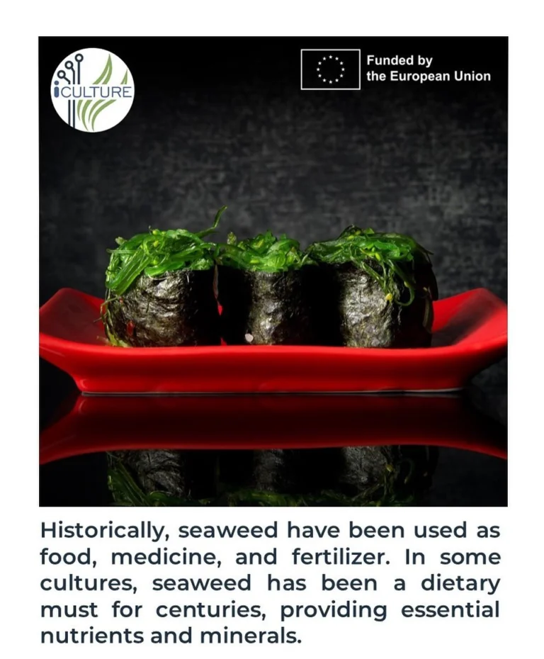 Instagram post from icultureproject. This post is in position 93.